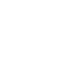 Project Coordinator