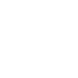 Software Engineer