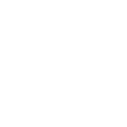 Mentorship Support